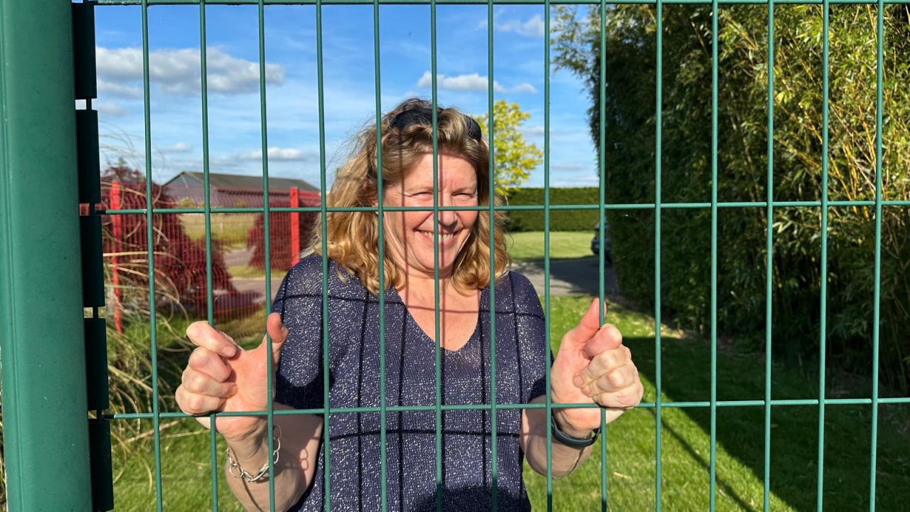 ccb052e3-aa5c-4970-92f4-69e61397b0f7 ccb052e3-aa5c-4970-92f4-69e61397b0f7